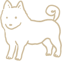 中型犬で相談が多い犬種