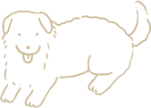 犬のしつけ方教室