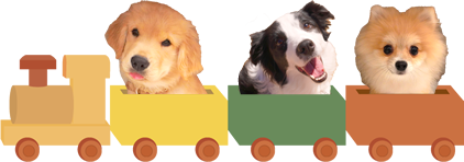 子犬のご相談限定クーポン