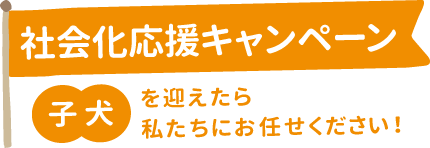 社会化応援キャンペーン　子犬を迎えたら私たちにお任せください！