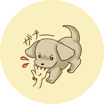 噛みつきのご相談