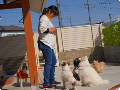お泊り保育について