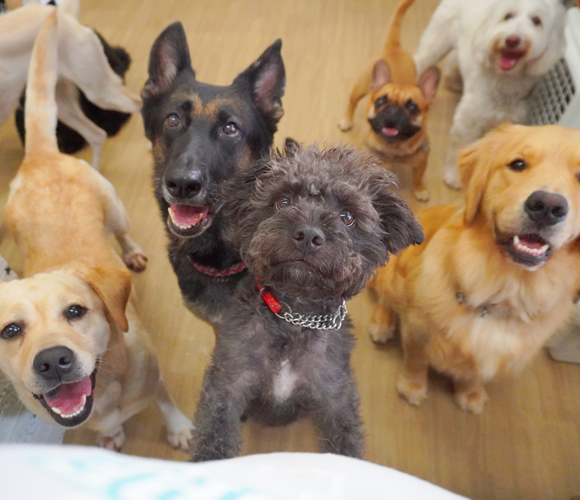 伊勢崎店のふれあい保育写真