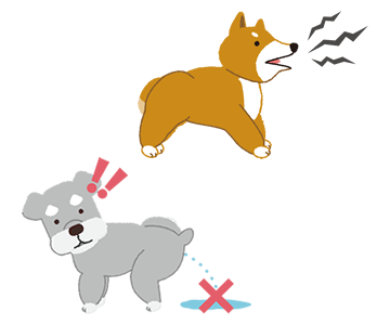 犬のトレーニング方法