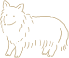 卒業生の声