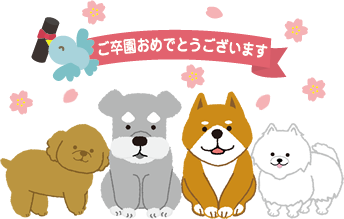 犬の幼稚園卒園おめでとう
